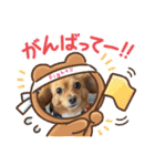 HACHI★PUPU stamp①（個別スタンプ：16）