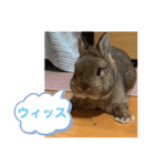 まさ吉のスタンプ（個別スタンプ：5）