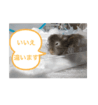 まさ吉のスタンプ（個別スタンプ：6）