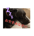 くろぐれーしろ（個別スタンプ：3）
