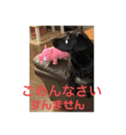くろぐれーしろ（個別スタンプ：5）
