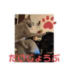 くろぐれーしろ（個別スタンプ：7）