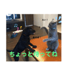 くろぐれーしろ（個別スタンプ：15）