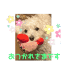 くろぐれーしろ（個別スタンプ：22）
