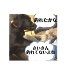 くろぐれーしろ（個別スタンプ：39）