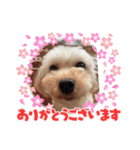 こまちの日常 komachi（個別スタンプ：2）