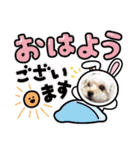 こまちの日常 komachi（個別スタンプ：16）