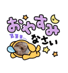 コロとチョコ（個別スタンプ：2）
