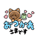 コロとチョコ（個別スタンプ：3）