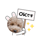 コロとチョコ（個別スタンプ：7）