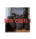 猫なの〜（個別スタンプ：6）