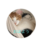 かみはつスタンプ1！（個別スタンプ：1）