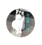 かみはつスタンプ1！（個別スタンプ：4）