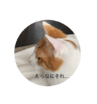 かみはつスタンプ1！（個別スタンプ：12）