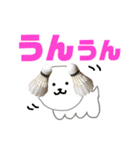 バドミントン犬の日常（個別スタンプ：10）