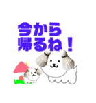 バドミントン犬の日常（個別スタンプ：19）