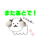 バドミントン犬の日常（個別スタンプ：20）