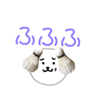 バドミントン犬の日常（個別スタンプ：24）