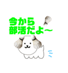 バドミントン犬の日常（個別スタンプ：35）