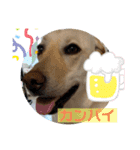 毎日らぶらどーる2（個別スタンプ：1）