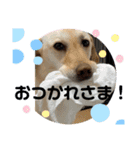 毎日らぶらどーる2（個別スタンプ：3）