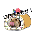 毎日らぶらどーる2（個別スタンプ：4）