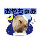 毎日らぶらどーる2（個別スタンプ：8）