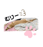 毎日らぶらどーる2（個別スタンプ：11）