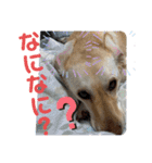 毎日らぶらどーる2（個別スタンプ：14）