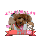 愛月と空パート10（個別スタンプ：3）