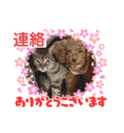 愛月と空パート10（個別スタンプ：7）
