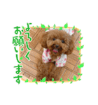 愛月と空パート10（個別スタンプ：10）