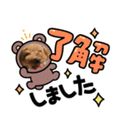 愛月と空パート10（個別スタンプ：13）
