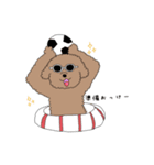 トイプースタンプ 1（個別スタンプ：1）