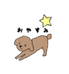 トイプースタンプ 1（個別スタンプ：2）
