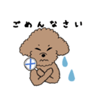 トイプースタンプ 1（個別スタンプ：5）