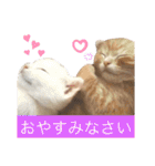 ルチオくんスタンプ（個別スタンプ：3）