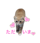 ルチオくんスタンプ（個別スタンプ：6）