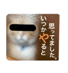 ルチオくんスタンプ（個別スタンプ：8）