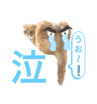 ルチオくんスタンプ（個別スタンプ：10）