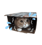 ルチオくんスタンプ（個別スタンプ：28）
