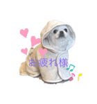 Pekimix stamp（個別スタンプ：2）