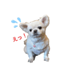 Pekimix stamp（個別スタンプ：5）
