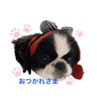 Pekimix stamp（個別スタンプ：8）