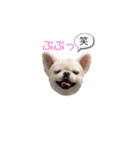 Pekimix stamp（個別スタンプ：16）