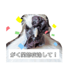 トムとジュリーのすてきなスタンプ2（個別スタンプ：7）