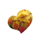 hana・花・flower（個別スタンプ：5）