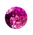 hana・花・flower（個別スタンプ：7）