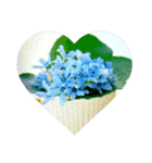 hana・花・flower（個別スタンプ：8）