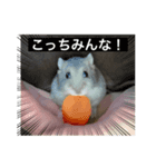 ぽぴの1日（個別スタンプ：8）
